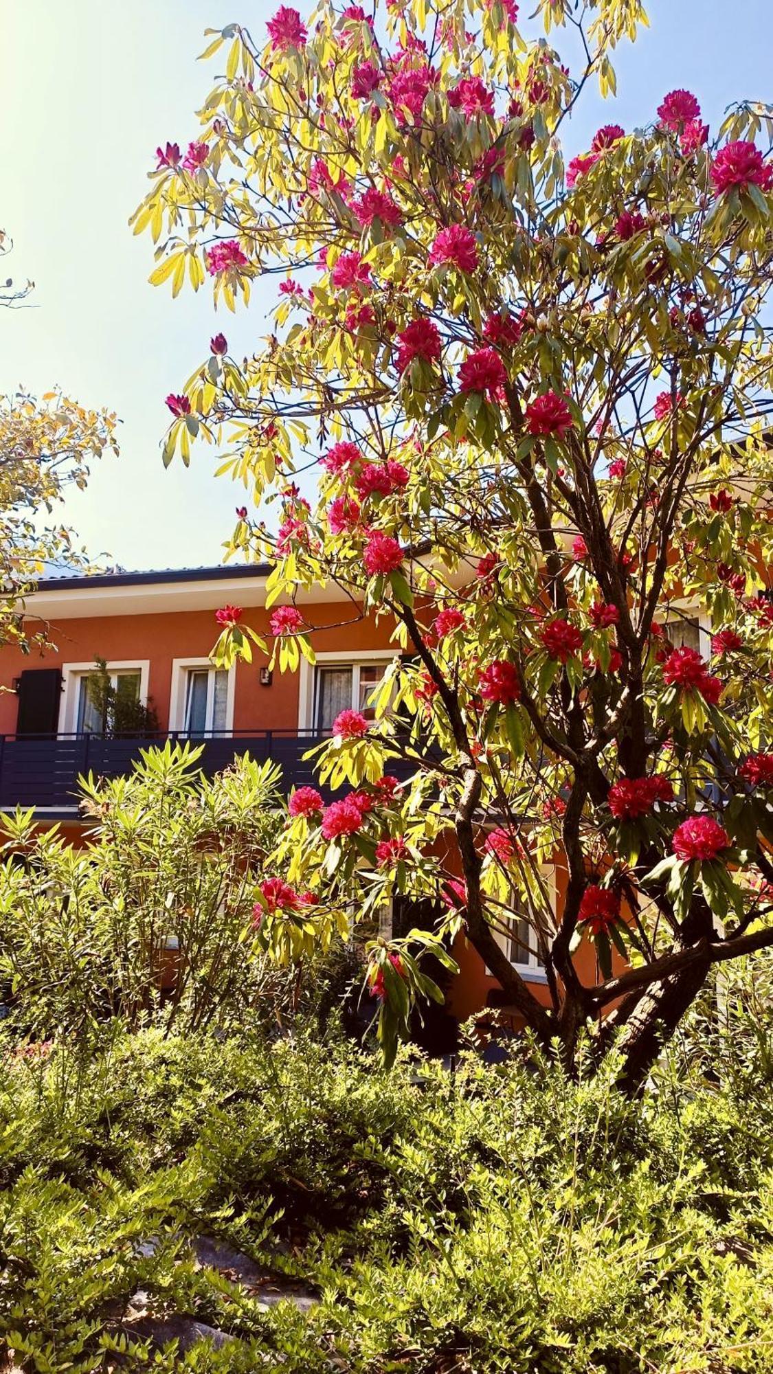 Hotel Villa Cuserina กันโนบีโอ ภายนอก รูปภาพ
